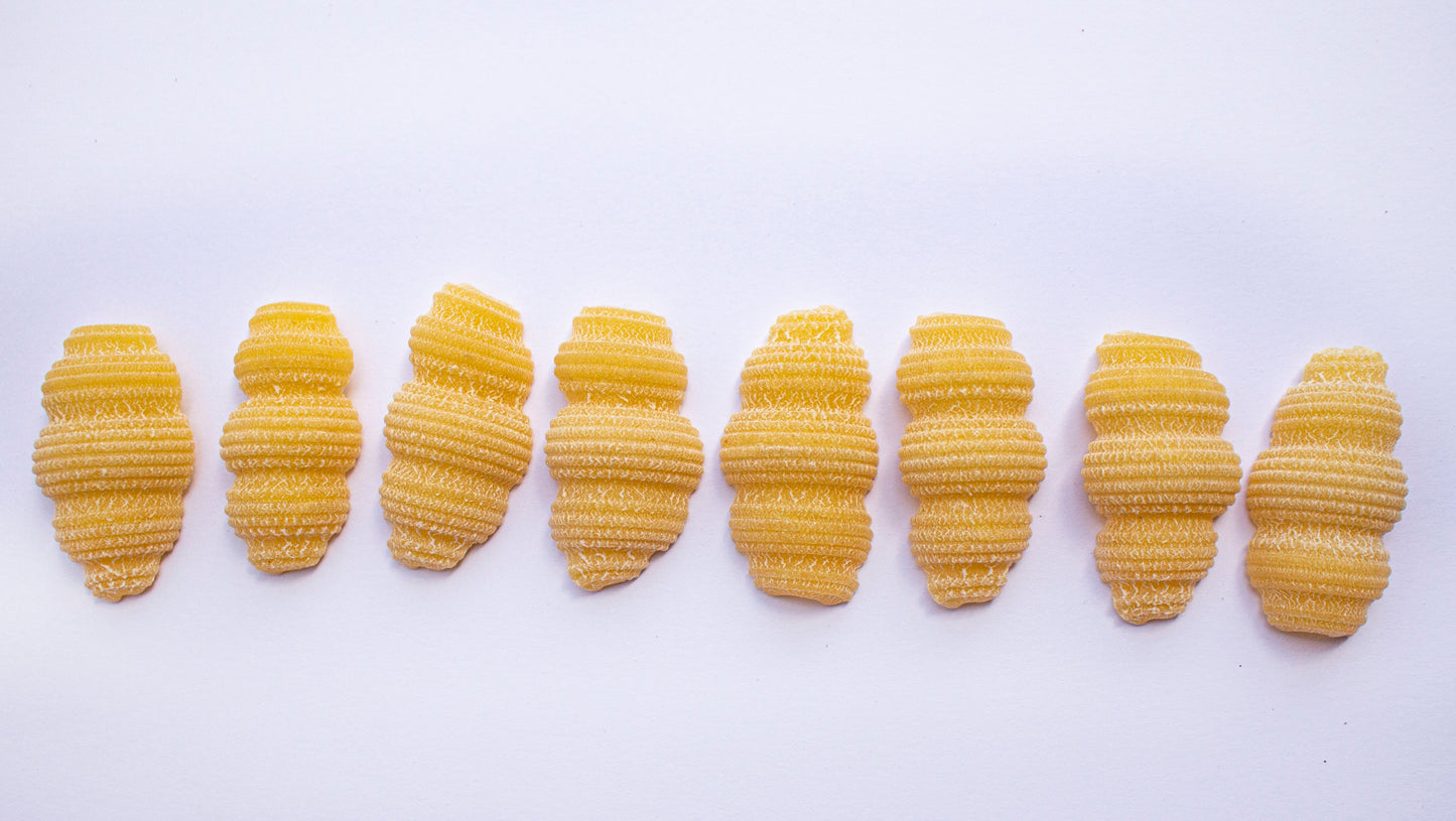Zpasta Conchiglie
