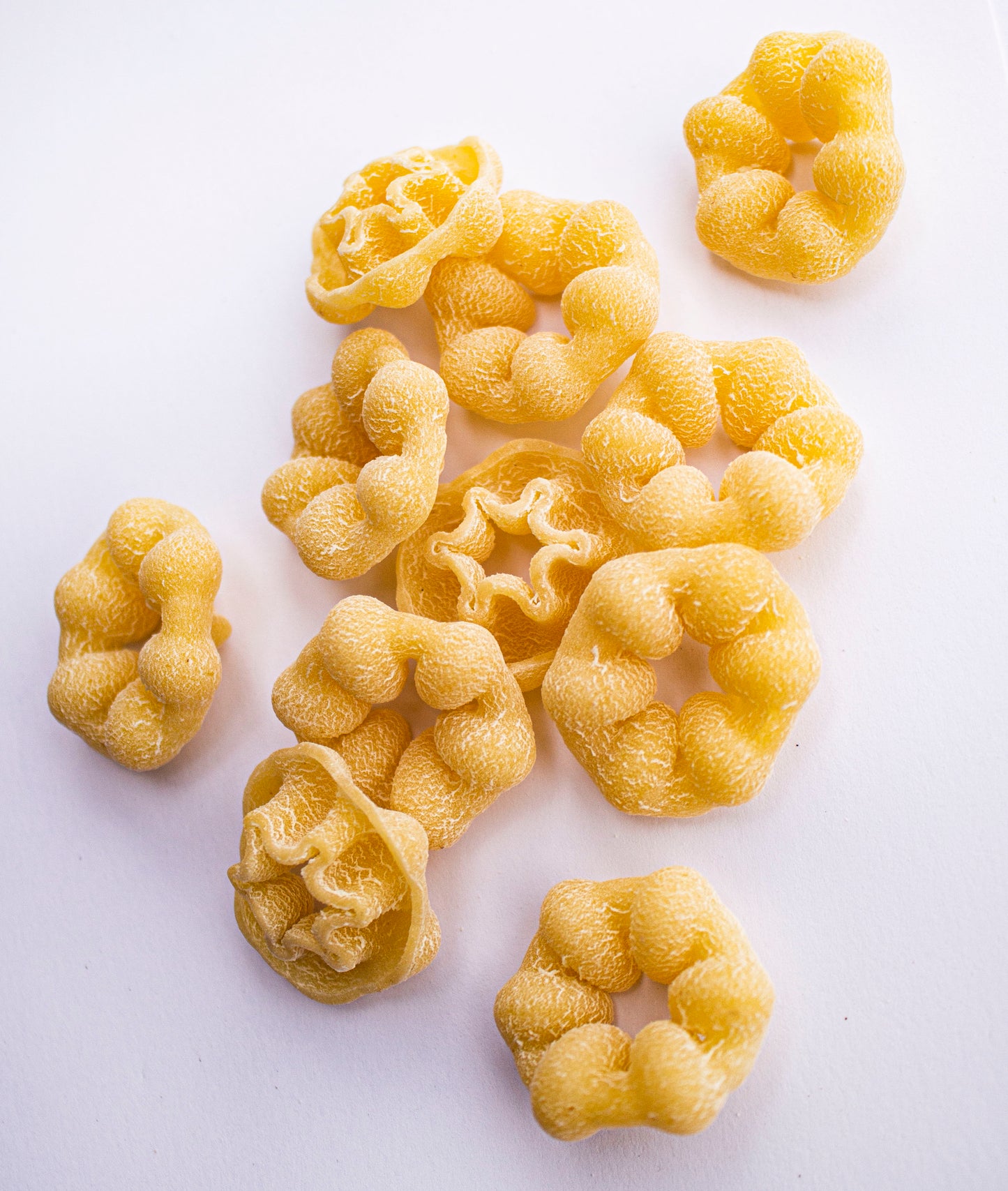 Zpasta Plain Fiori