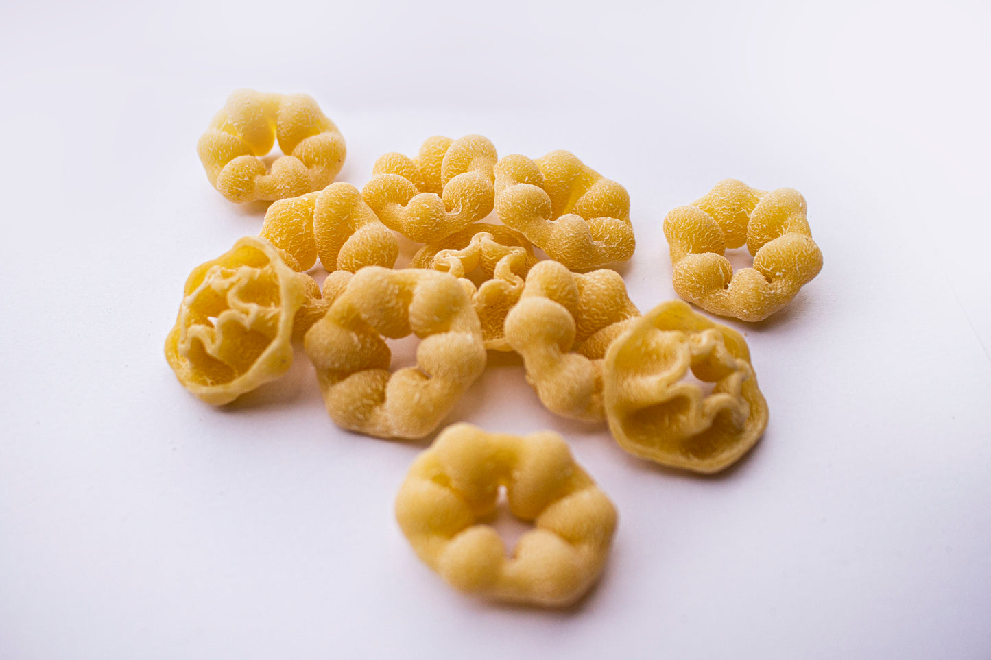 Zpasta Plain Fiori